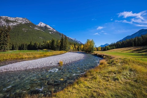 Magnificent valley in Banff National Park. Beneaped autumn stream with a pebbly bottom flows among