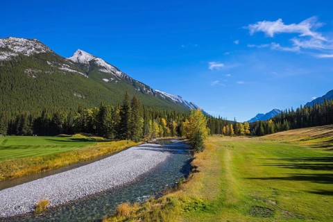 Beneaped autumn stream with a pebbly bottom flows among fields and pine forests. Magnificent valley