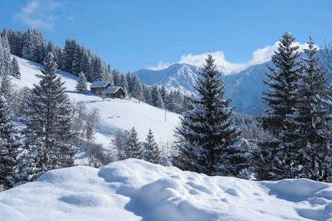 Laterns Oberbonacker