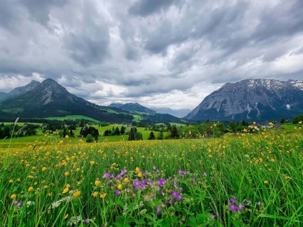 Summer austrian landscape with Grimming mountain (2.351 m), an isolated peak in the Dachstein