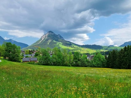 Summer austrian landscape with green meadows and impressive mountains, view from small alpine