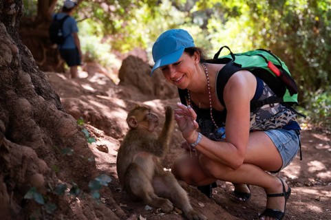 The tourist is having fun with macaque monkey near the Ouzoud waterfall, Morocco, Africa