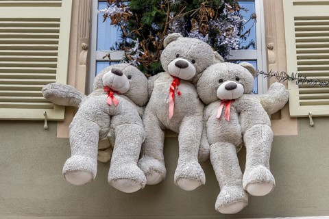Christmas decorated building windows with three white teddy bears, Colmar, Alsace, Département