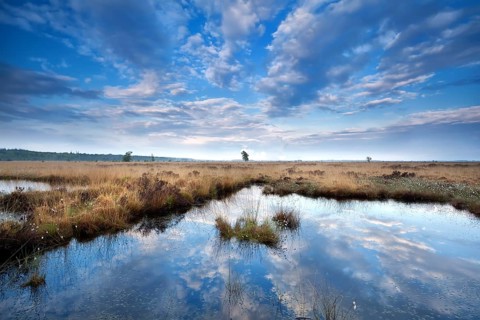 Blue sky cloudscape reflected in wild lake, Drenthe, Netherlands