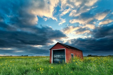 Farmhouse on rapeseed field at stormy sunset, Netherlands