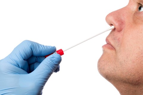 Doctor performs a nasal swab test with a cotton swab