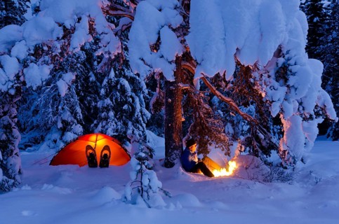 Man sitting next to his illuminated tent under a tree by a campfire, Hedmarksvidda, Hedmark Fylke,