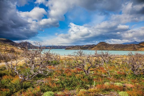 Strong winds of Patagonia. Chile, Patagonia, Torres del Paine National Park - Biosphere Reserve.