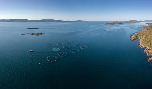 An aerial view of a salmon fish farm in Bantry Bay in County Cork of western Ireland