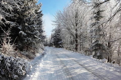 Winter fairy tale. Snow-covered winter wood and a wide ski track