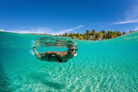 Snorkelling off Palm Island, Fadol, Kai Islands, Moluccas, Indonesia, Asia