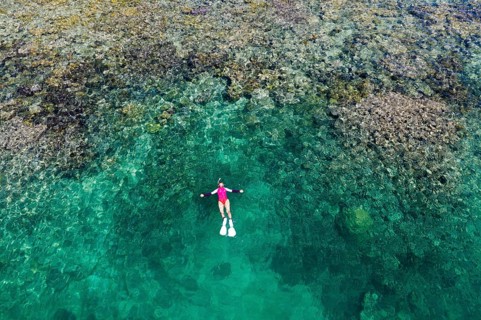 Snorkelling at House Reef of Lissenung, New Ireland, Papua New Guinea | Snorkeling at House Reef of