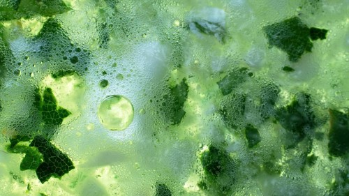 Color of life green background. Fermentation stimulating substances, fermented broth.