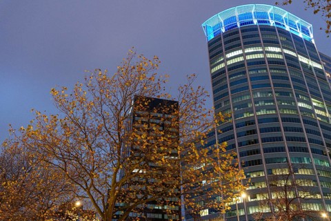 Illuminated tower block with trees in the foreground at dusk, Rotterdam, Netherlands