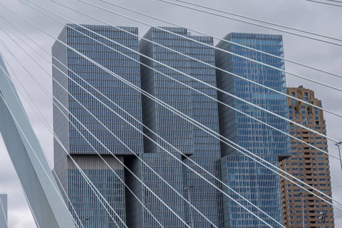 Close-up of modern skyscrapers and cables on a bridge in Rotterdam, Rotterdam, Netherlands