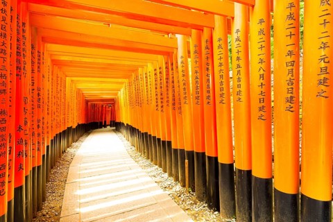 KYOTO, JAPAN, JUNE 15, 2015: Japanese text written on colorful red torii gates supports repeating