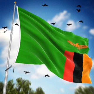 Flag of Zambia, This is a computer generated and 3d rendered image