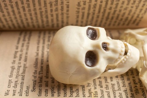 Model of artificial Human Skeleton in a book with text