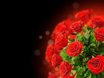 Illustration of the Red Rose Bouquet With Copyspace