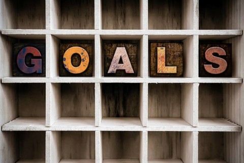 The word GOALS written in vintage ink stained wooden letterpress type in a partitioned printer's