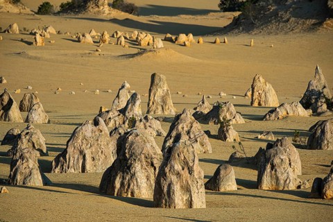 Pinnacles Desert, Nambung National Park, Kalbarri Region, Western Australia, Australia, Oceania