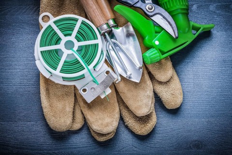 Set of garden tools on protective glove