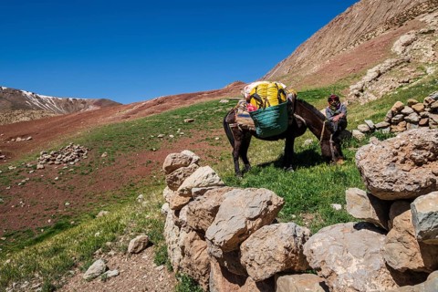 Berber muleteer, Timaratine, MGoun trek, Atlas mountain range, morocco