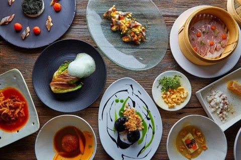 Molecular gastronomy variety of recipes Modern cuisine