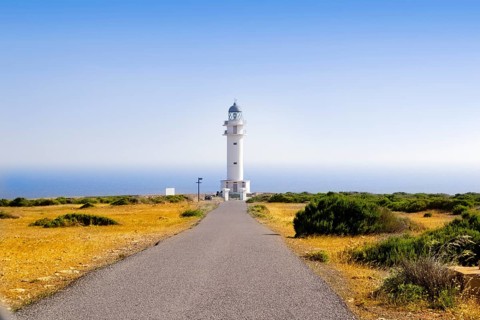 Barbaria Lighthouse cape Formentera Balearic Islands in golden grass meadow blue sky