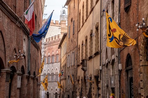 Contrade flags of the Aquila-Eagle district hanging in a street of downtown Siena, Italy, Europe