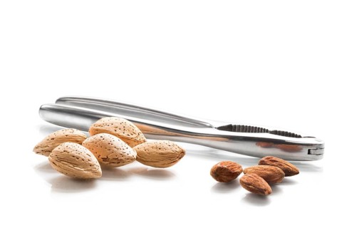 Some almonds (Prunus dulcis) in shell against a white background