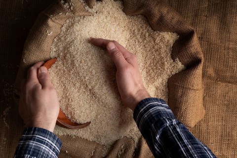 Human hands holding handful of rice over burlap sack