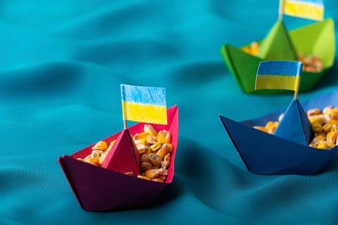 Ships with Ukrainian maize grain made of paper concept, food photography, food photography
