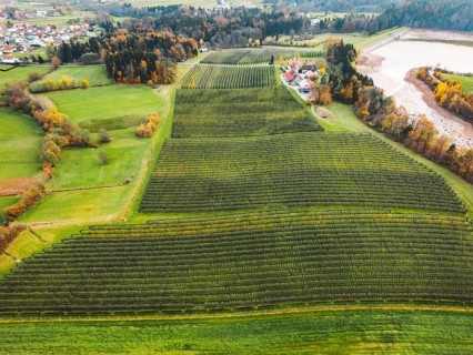 Aerial view of orchard somewhere in the countryside. Apple orchard, covered with protective net
