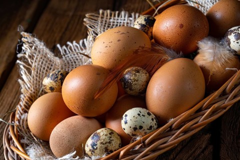 Fresh eggs straight from the farm in a basket