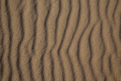 Beach sand dunes texture from California Pacific coast