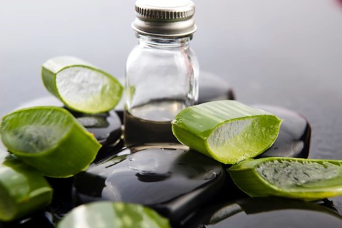 Sliced aloe leaves with oil on the stone, lodz, poland