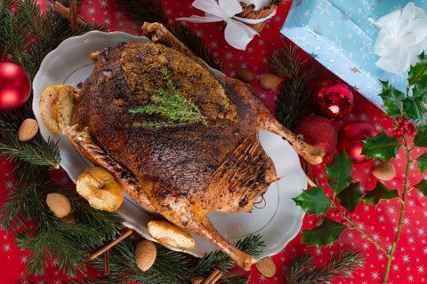 Christmas goose
