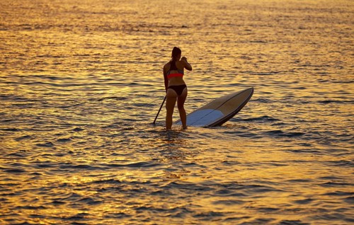 SUP Stand up Surf girl with paddle at sunset