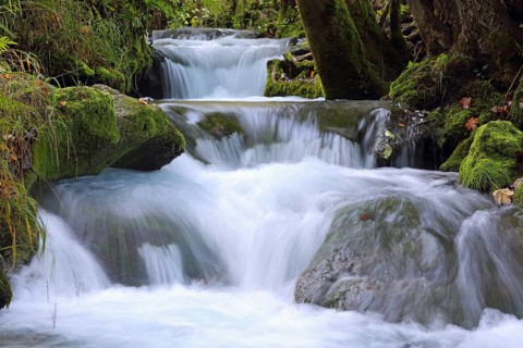 River, terraces, close to nature, Swabian Alb, near Bad Urach