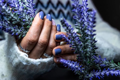 Close-up of hands with blue nails and rings, gently holding a lavender stem, against a textured