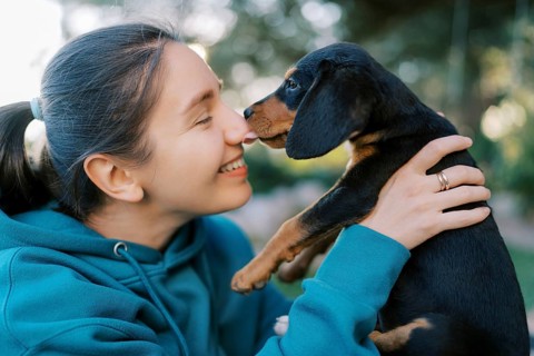 Black puppy licks the nose of a smiling girl holding him in her arms.