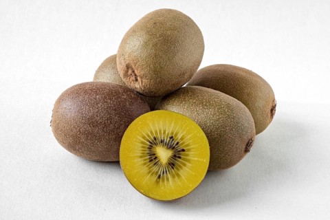 Kiwi fruit on a white background