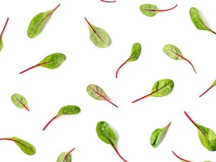 Pattern of fresh green chard leaves or mangold salad leaves on white background. Flat lay or top