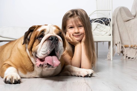 Two dreamy friends, a child and a dog, lie together in the room on the floor next to the bed and