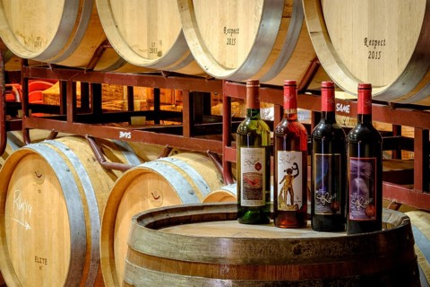 Bodegas Bordoy, llucmajor, Mallorca, balearic islands, spain
