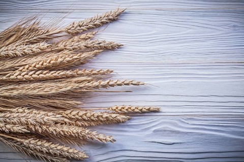 Stack of wheat rye ears on wooden board food and drink concept