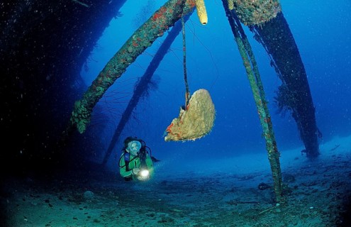Diver on the Hilma Hooker shipwreck, Netherlands Antilles, Bonaire, Caribbean, Caribbean Sea