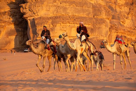 Jordan, Wadi Rum, November 2, 2022: Caravan of camels with drovers in the desert, rock mountains at