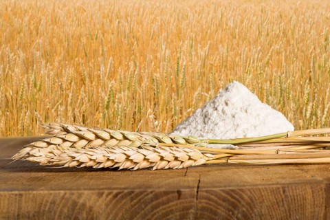 Bread, flour and wheat cereal crops. Cereal crops on the background